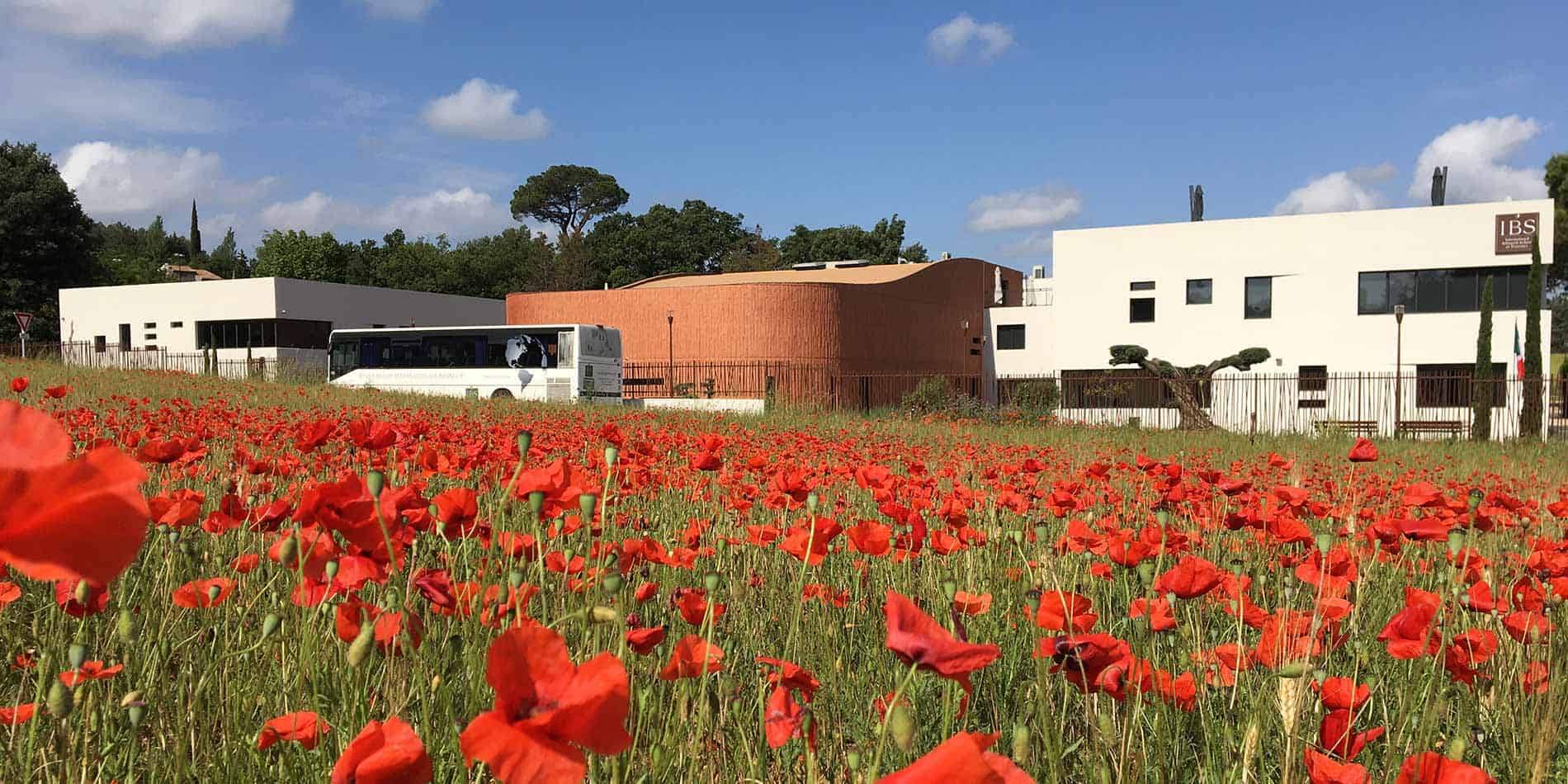 The International Bilingual School of Provence 